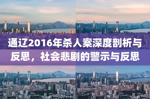 通辽2016年杀人案深度剖析与反思，社会悲剧的警示与反思