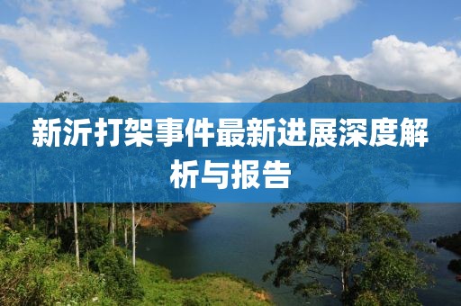 新沂打架事件最新进展深度解析与报告