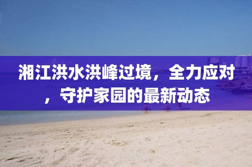 湘江洪水洪峰过境，全力应对，守护家园的最新动态