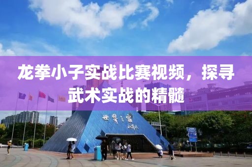 龙拳小子实战比赛视频，探寻武术实战的精髓