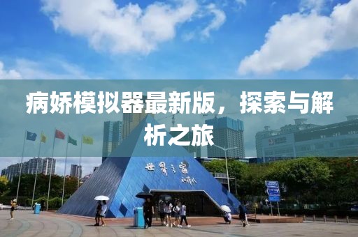 病娇模拟器最新版，探索与解析之旅