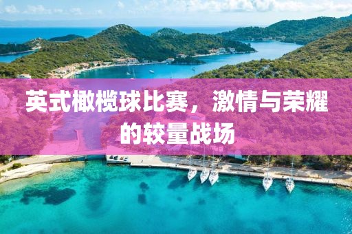 英式橄榄球比赛，激情与荣耀的较量战场