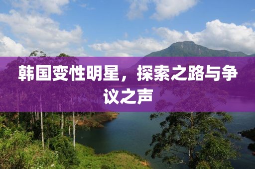 韩国变性明星，探索之路与争议之声
