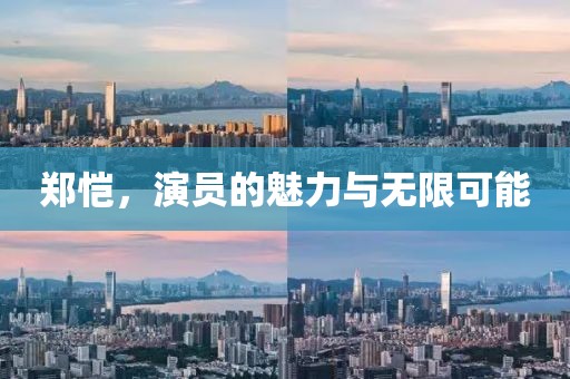 郑恺，演员的魅力与无限可能