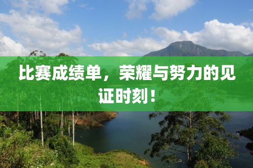 比赛成绩单，荣耀与努力的见证时刻！