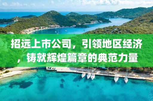 招远上市公司，引领地区经济，铸就辉煌篇章的典范力量