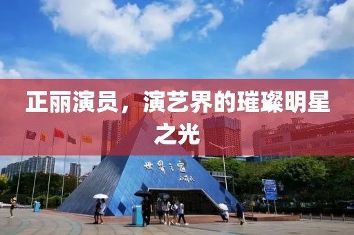 正丽演员，演艺界的璀璨明星之光
