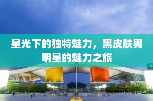 星光下的独特魅力，黑皮肤男明星的魅力之旅