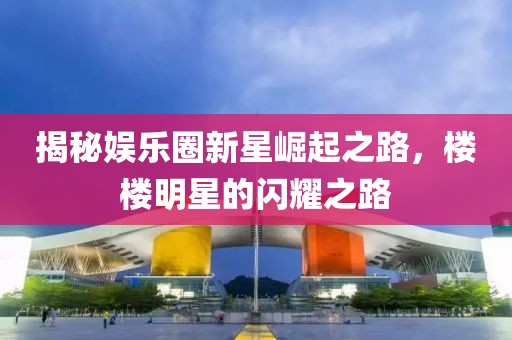 揭秘娱乐圈新星崛起之路，楼楼明星的闪耀之路