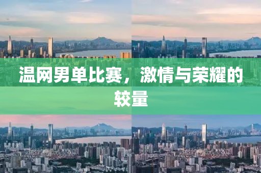 温网男单比赛，激情与荣耀的较量