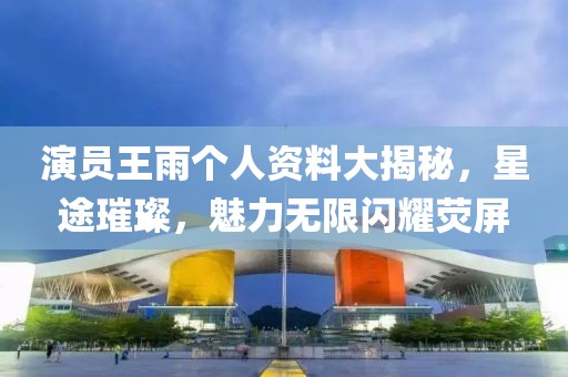 演员王雨个人资料大揭秘，星途璀璨，魅力无限闪耀荧屏