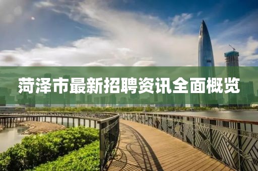 菏泽市最新招聘资讯全面概览