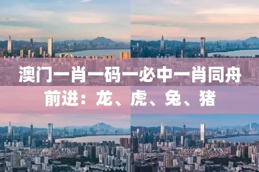 澳门一肖一码一必中一肖同舟前进：龙、虎、兔、猪