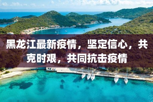 黑龙江最新疫情，坚定信心，共克时艰，共同抗击疫情