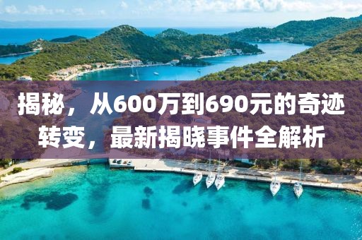 揭秘，从600万到690元的奇迹转变，最新揭晓事件全解析