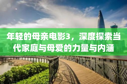 年轻的母亲电影3，深度探索当代家庭与母爱的力量与内涵
