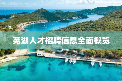 芜湖人才招聘信息全面概览