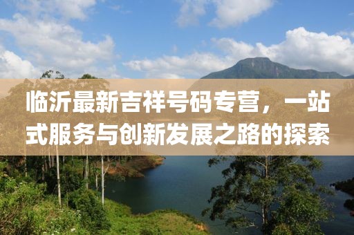临沂最新吉祥号码专营，一站式服务与创新发展之路的探索