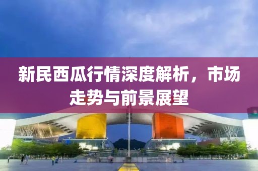 新民西瓜行情深度解析，市场走势与前景展望