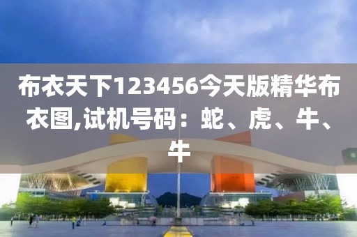 布衣天下123456今天版精华布衣图,试机号码：蛇、虎、牛、牛