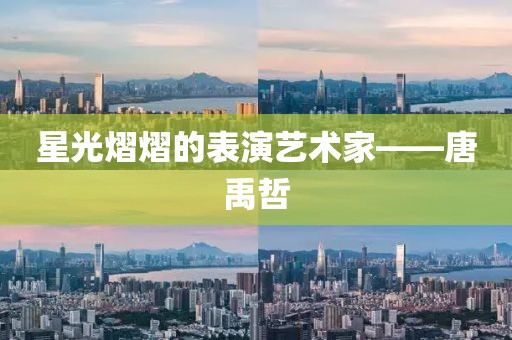 星光熠熠的表演艺术家——唐禹哲