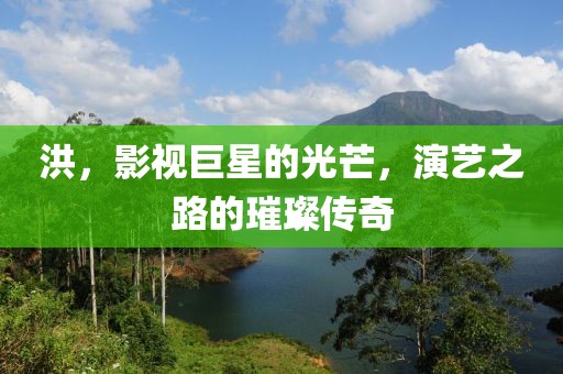 洪，影视巨星的光芒，演艺之路的璀璨传奇