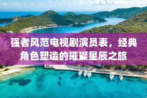强者风范电视剧演员表，经典角色塑造的璀璨星辰之旅