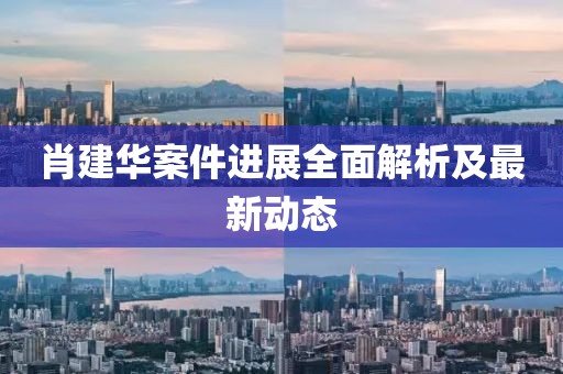 肖建华案件进展全面解析及最新动态