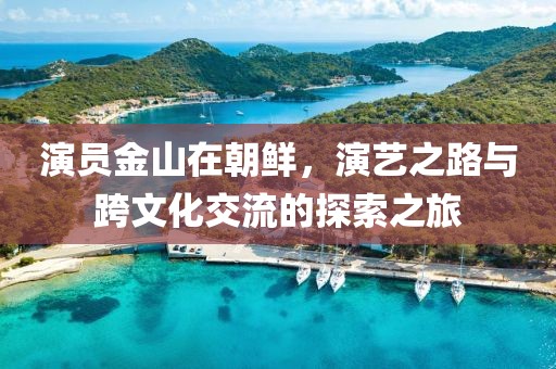 演员金山在朝鲜，演艺之路与跨文化交流的探索之旅