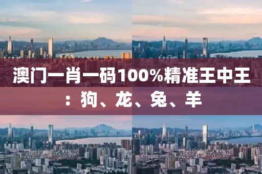 澳门一肖一码100%精准王中王：狗、龙、兔、羊