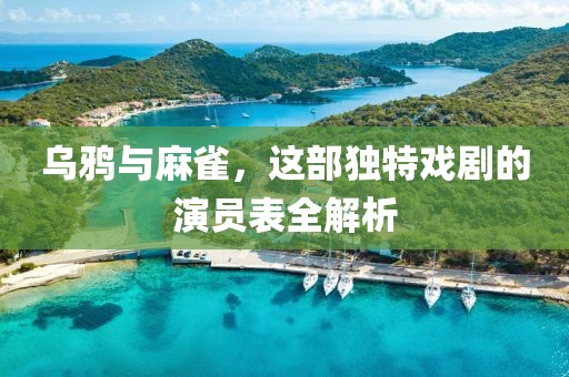 乌鸦与麻雀，这部独特戏剧的演员表全解析