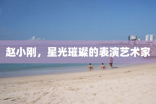 赵小刚，星光璀璨的表演艺术家