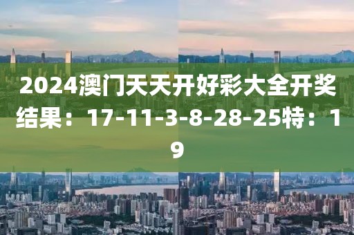 2024澳门天天开好彩大全开奖结果：17-11-3-8-28-25特：19