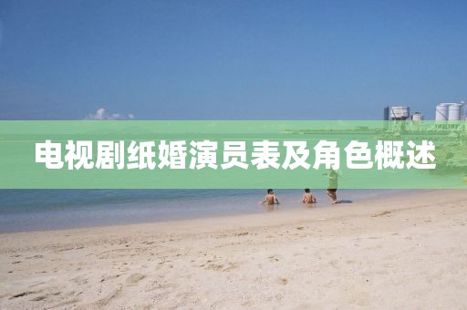 电视剧纸婚演员表及角色概述