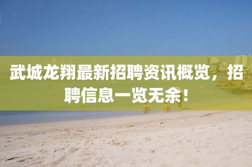 武城龙翔最新招聘资讯概览，招聘信息一览无余！