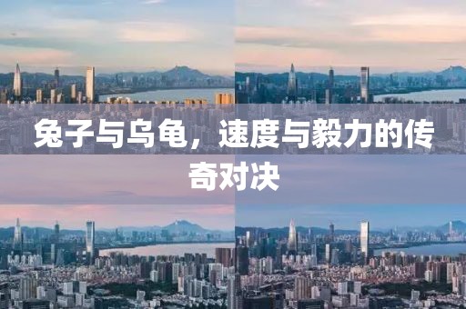 兔子与乌龟，速度与毅力的传奇对决