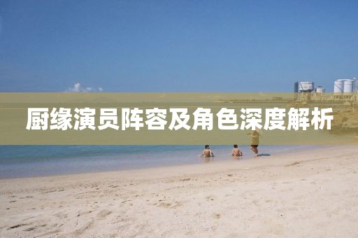 厨缘演员阵容及角色深度解析