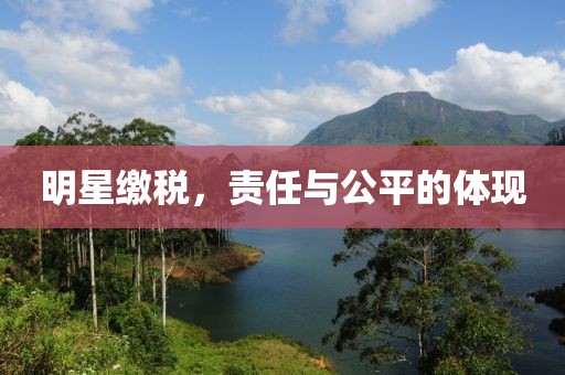 孤影寒峰 第18页