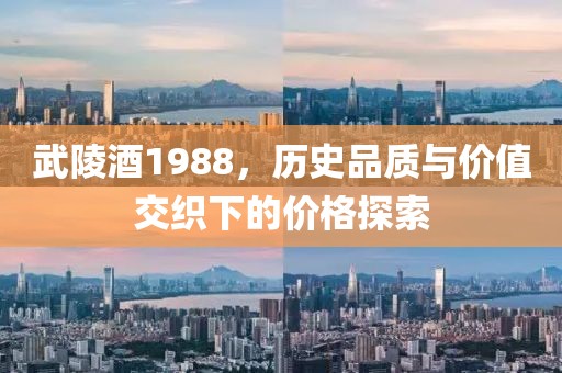 武陵酒1988，历史品质与价值交织下的价格探索