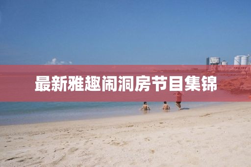 最新雅趣闹洞房节目集锦