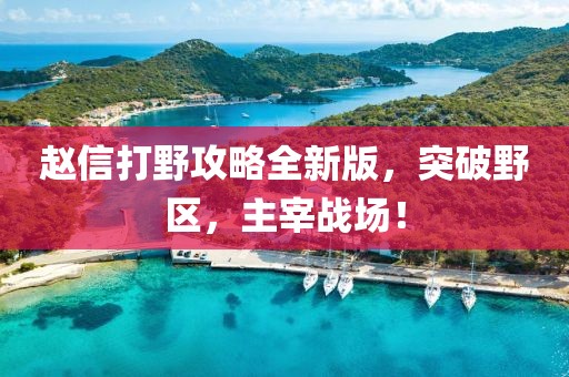赵信打野攻略全新版，突破野区，主宰战场！