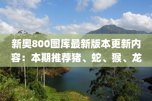 新奥800图库最新版本更新内容：本期推荐猪、蛇、猴、龙
