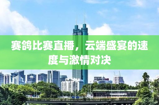 赛鸽比赛直播，云端盛宴的速度与激情对决