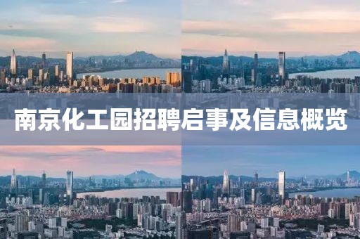 南京化工园招聘启事及信息概览
