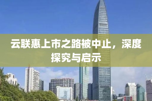 云联惠上市之路被中止，深度探究与启示