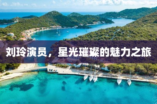 刘玲演员，星光璀璨的魅力之旅