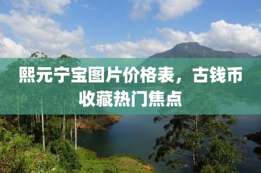 熙元宁宝图片价格表，古钱币收藏热门焦点