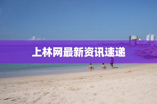上林网最新资讯速递