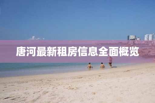 唐河最新租房信息全面概览