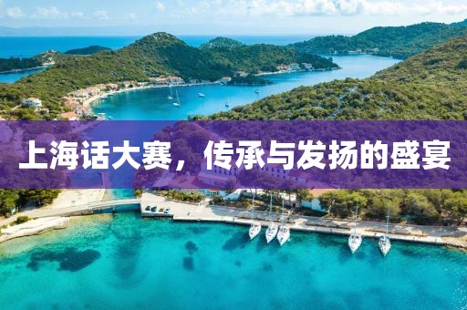 上海话大赛，传承与发扬的盛宴